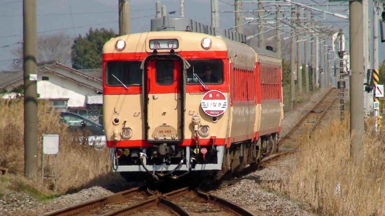 直販値下げ 【鉄道サボ】（表）宇都宮［急行日光］上野（裏）宇都宮